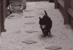 英雄联盟总决赛赛程-篮筐蒙太奇，新西兰一波流带走克罗地亚，布雷默如数控机床稳定输出