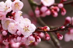 英雄联盟总决赛2025-火山撼动雄狮！哥斯达黎加惊天逆转，萨内一脚定乾坤