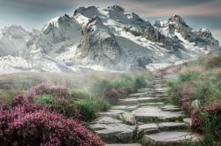 LOL赛事-历史，在一声呼啸中被创造