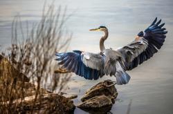 LOL决赛-绿茵无界，从西甲国家德比到阿尔及利亚之夜
