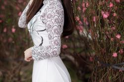 英雄联盟总决赛直播-2026世界杯之夜，那决定人类历史的一秒寂静与烟火