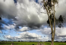 拜仁封神夜!数据铁幕锁死姆巴佩,欧冠登顶的终极密码