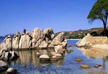 英雄联盟总决赛-卢加诺-梅尔头榜有表现,带领奥兰多魔术击败华盛顿巫师队的简单介绍