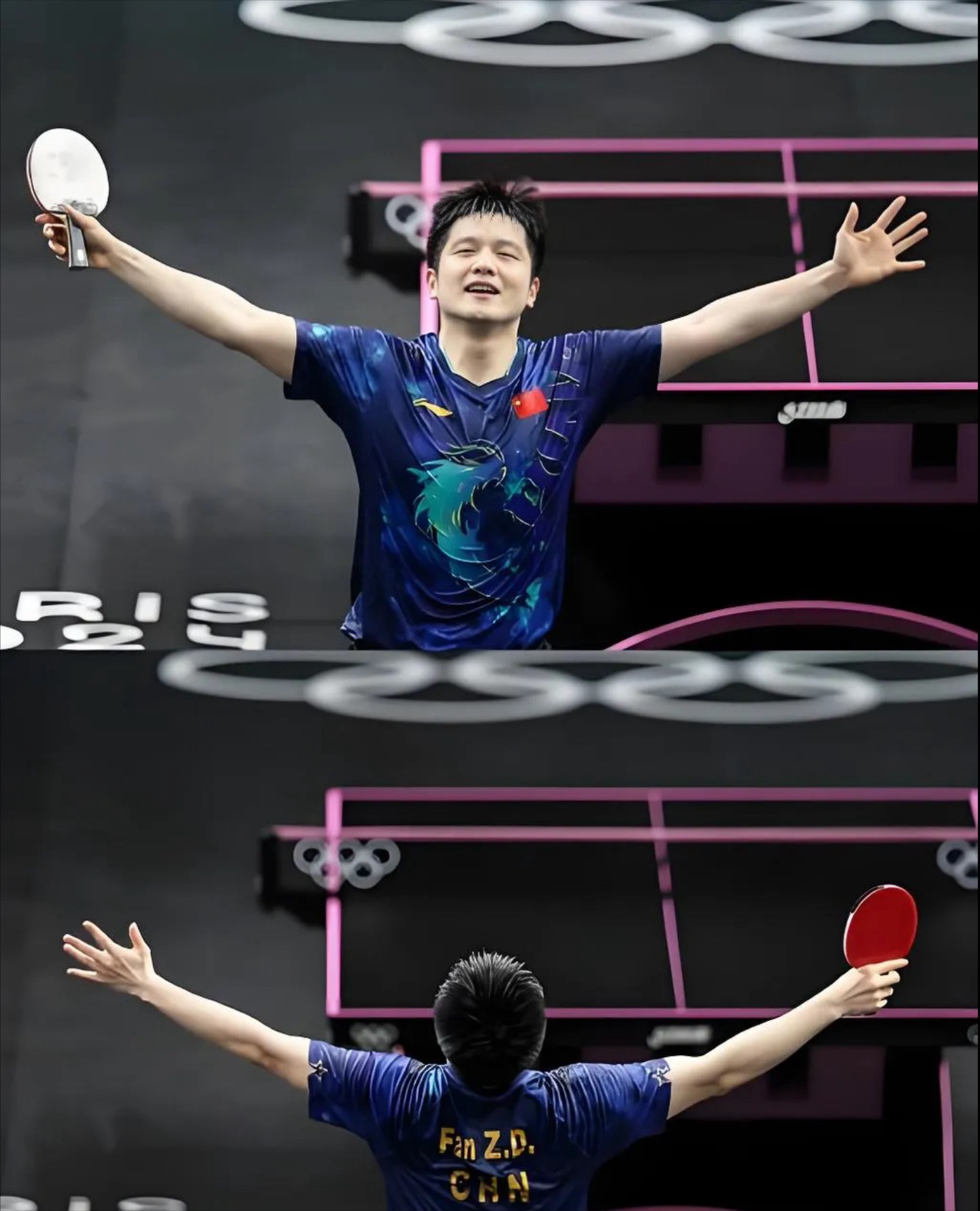 中国队力克奥地利队,樊振东状态火热 中国队力克奥地利队,樊振东状态火热