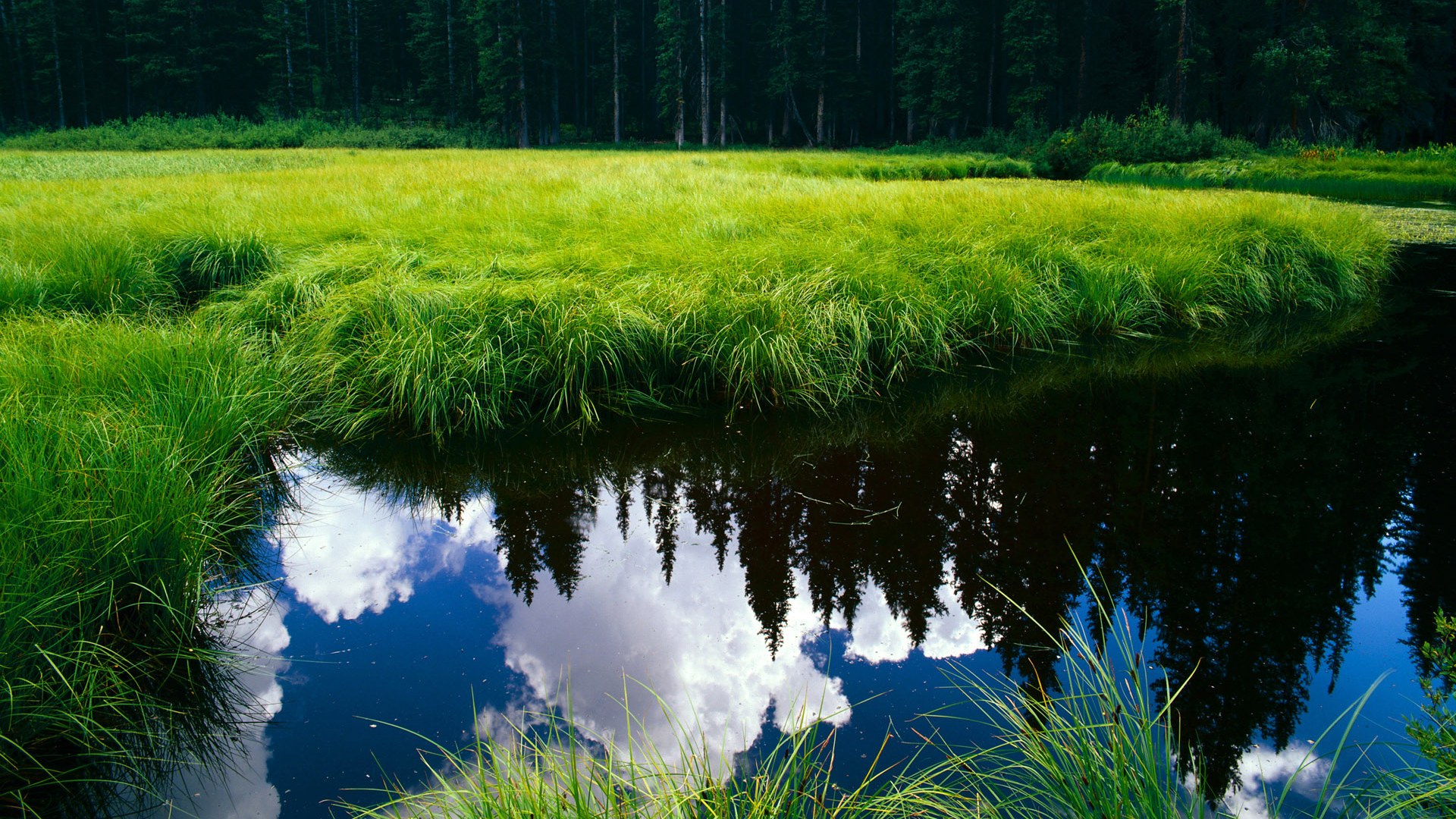 当山脉垒起防线，塔图姆化身惊雷，却劈不开山西的铜墙铁壁