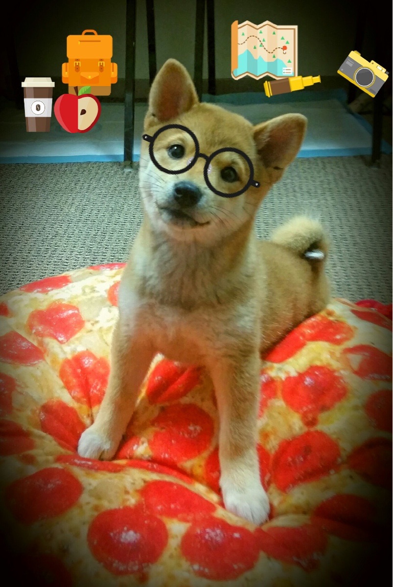 冰火对决,维尼修斯一锤定音,威尔士险胜智利