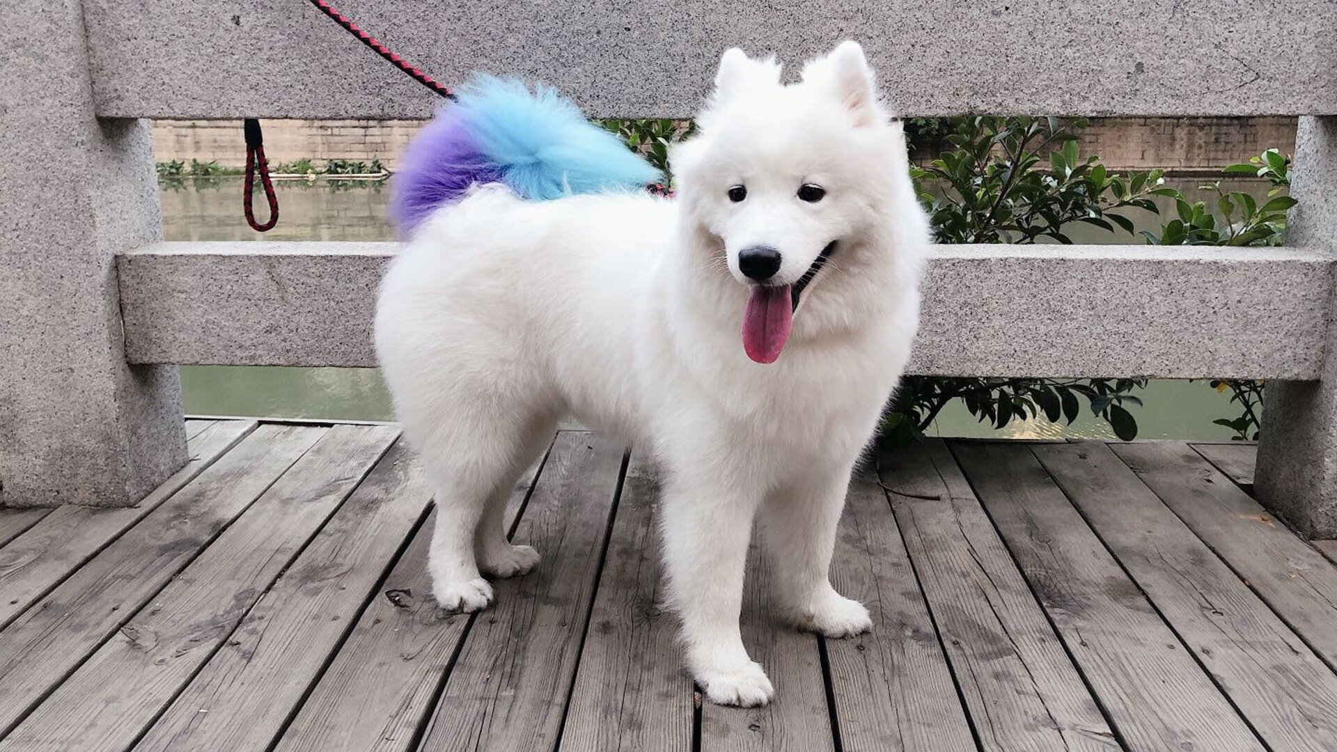 德布劳内的幽灵时刻,当平行宇宙在尼日利亚对阵韩国时裂开一道缝