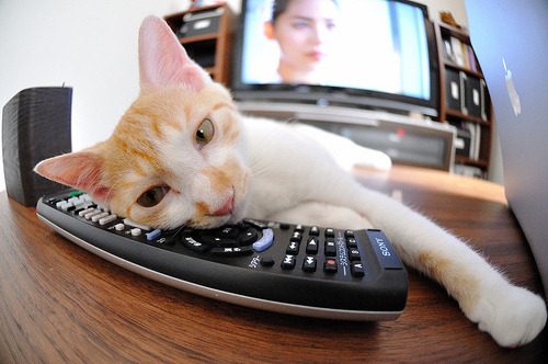 沉睡的火山终爆发！西亚卡姆数据核爆之夜，骑士马刺上演铁血绞杀！