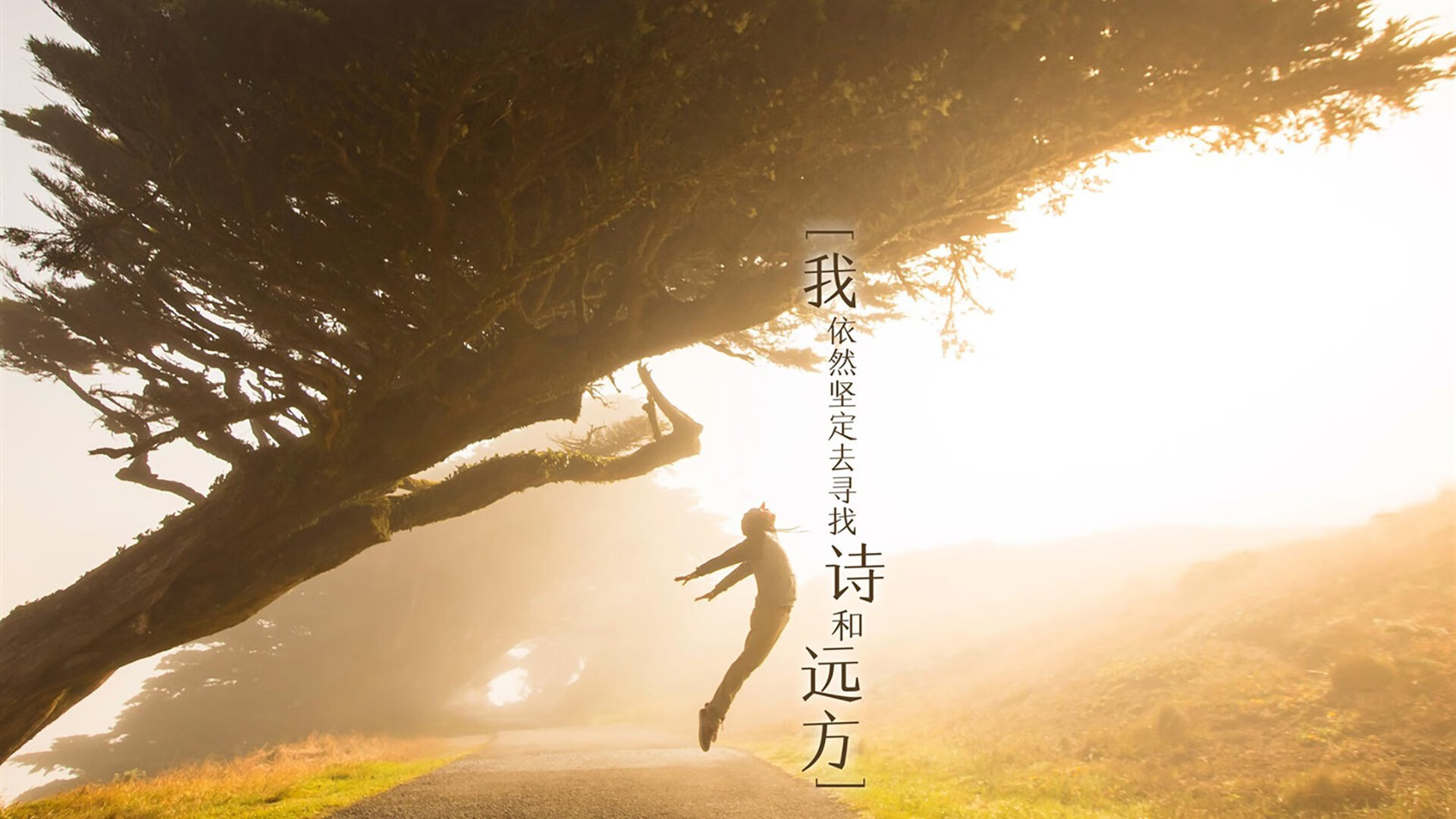 暮色、奔跑与不朽,当京多安的两道闪电劈开欧冠之夜