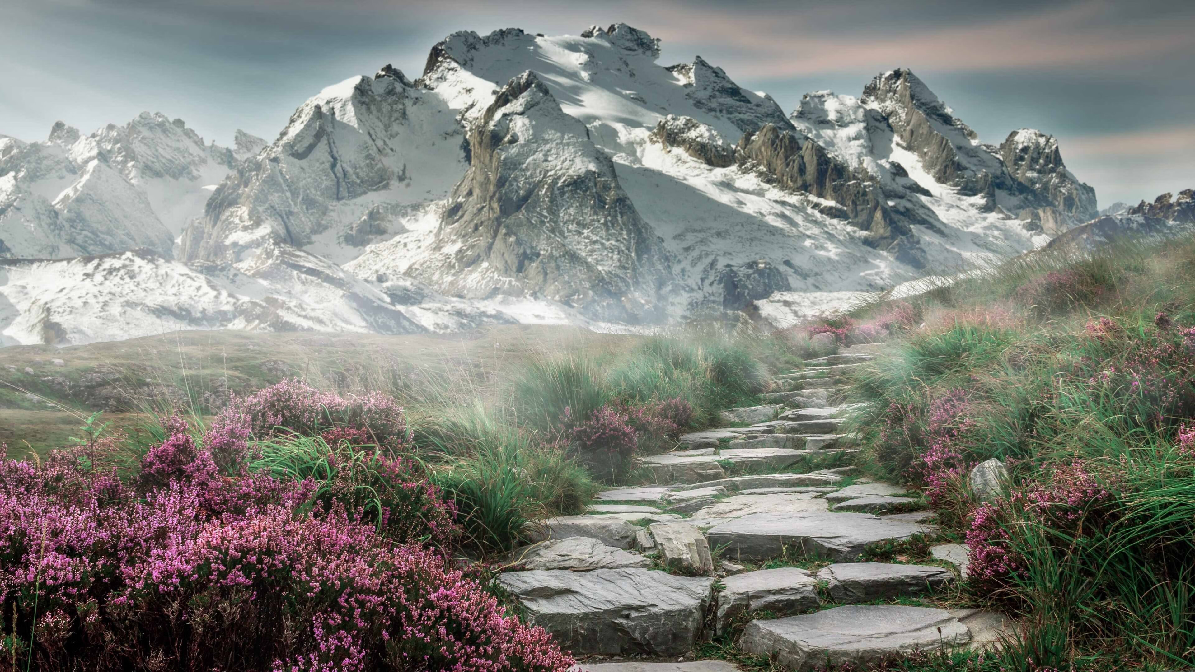 舞台没有大小，只有敢不敢赢的心跳，从格林到辽宁队，真正的强大是征服任何舞台的渴望