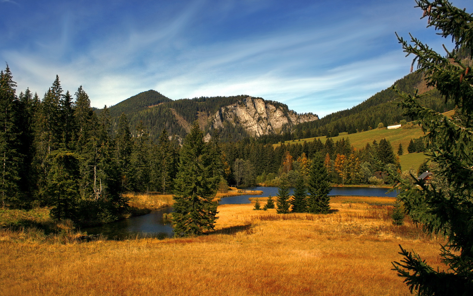 镜像之战，当东契奇的魔法遭遇北京的钢铁长城