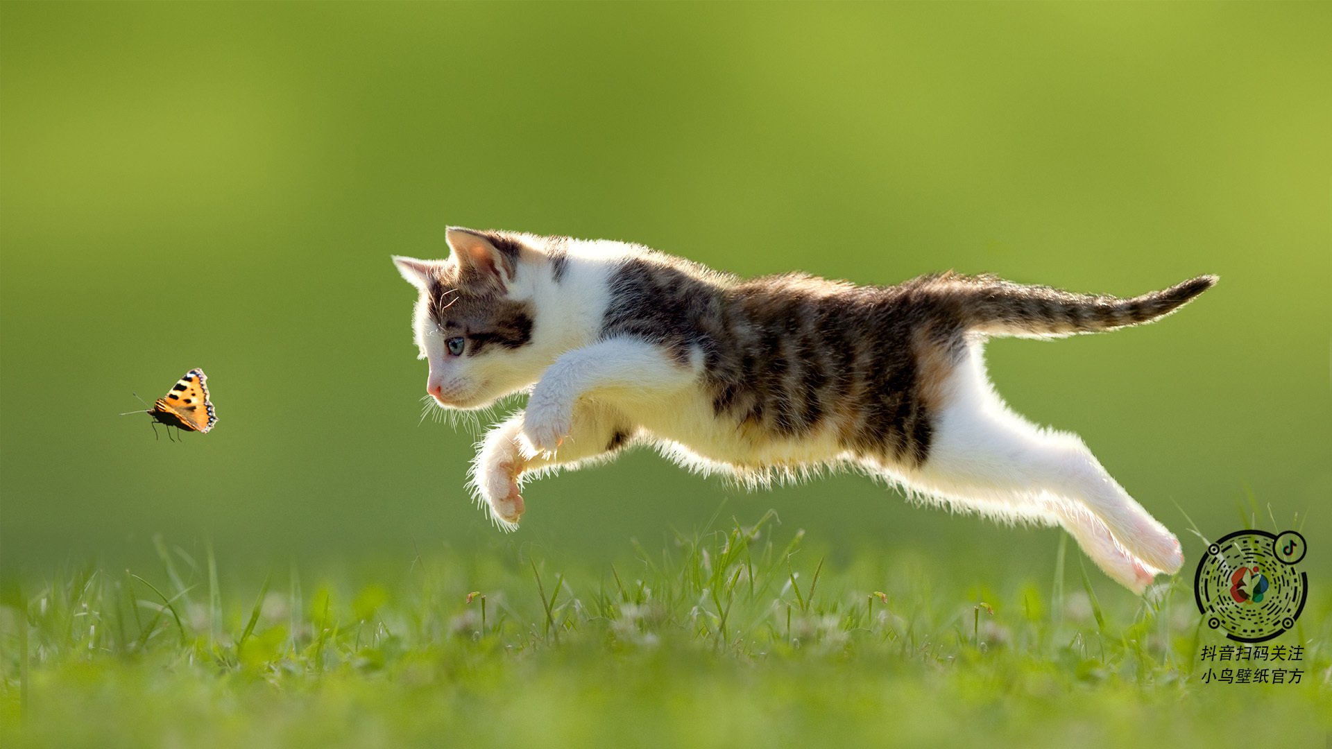 冰雪之地与沙漠狂飙,唯一性如何炼成—从山西队的绝地反击到拉文的方向盘革命