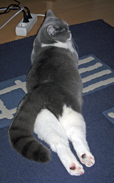 从边陲到核心,富安健洋,在欧冠决赛之夜重新定义大场面先生