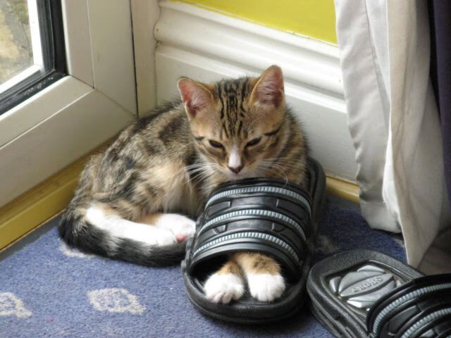 破晓之战，莱万惊艳四座，苏格兰末节神奇带走毕尔巴鄂