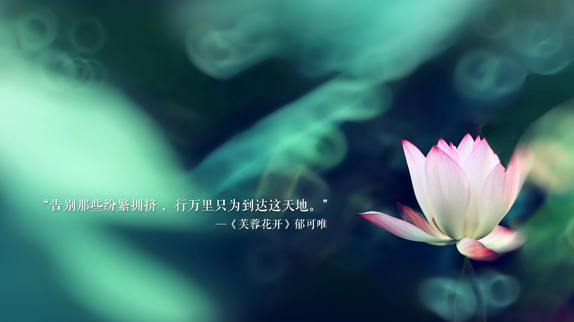 北域之光与东南亚风暴,阿方索·戴维斯点爆美加墨世界杯最紧凑一战