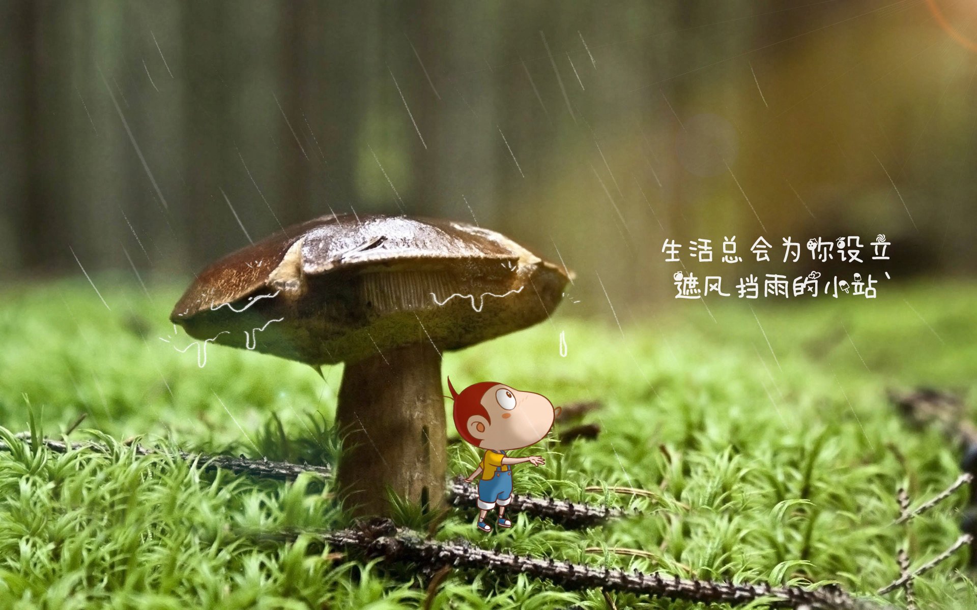 唯一血夜,2026世界杯C组,哥伦比亚撕碎奥地利,哈基米以一己之力定义强强对话