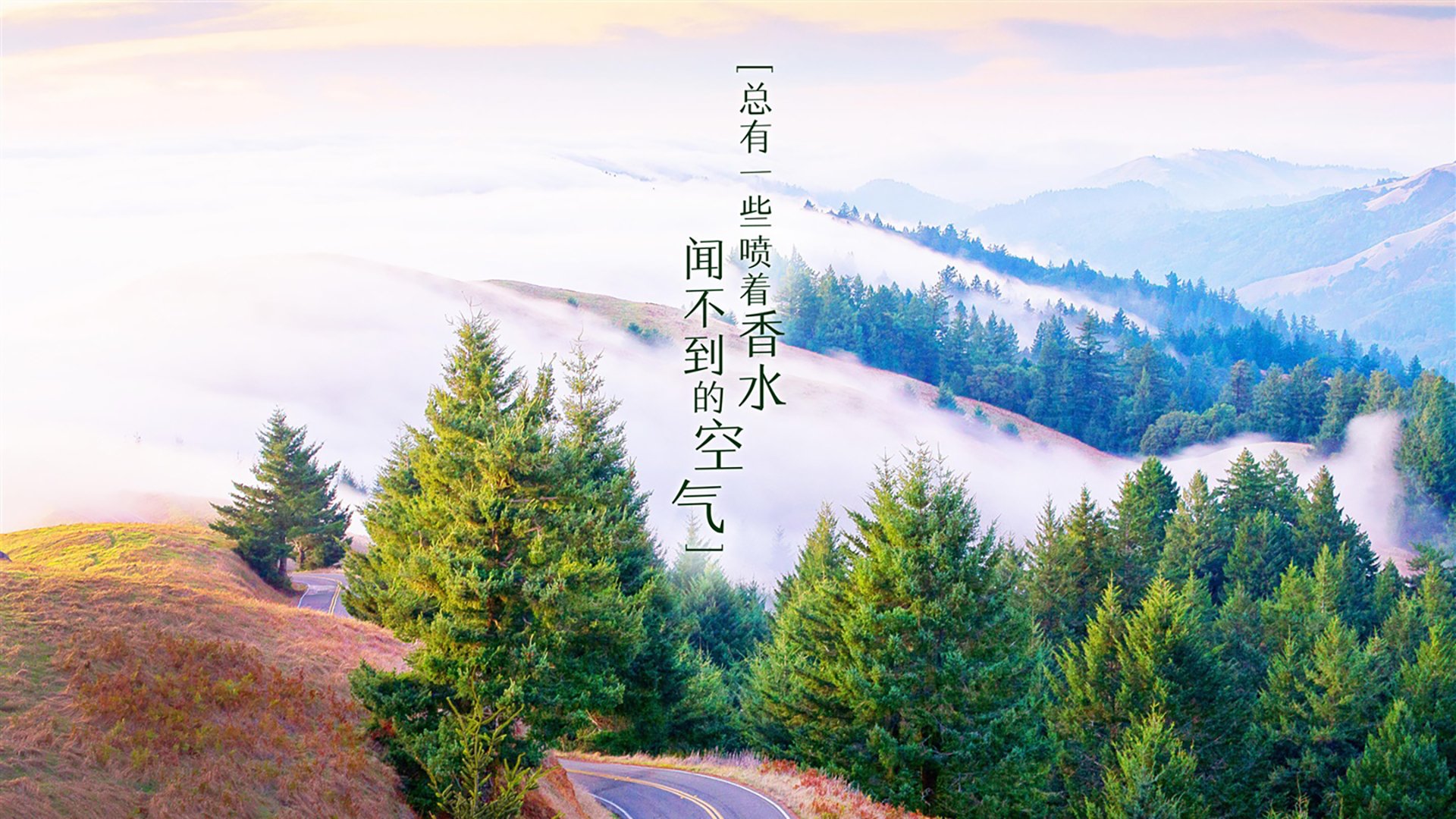 烽火连天·孤胆胜天，2026世界杯A组关键战，智利绝境险胜尼日利亚，塔雷米以一人之力擎起胜利旗帜