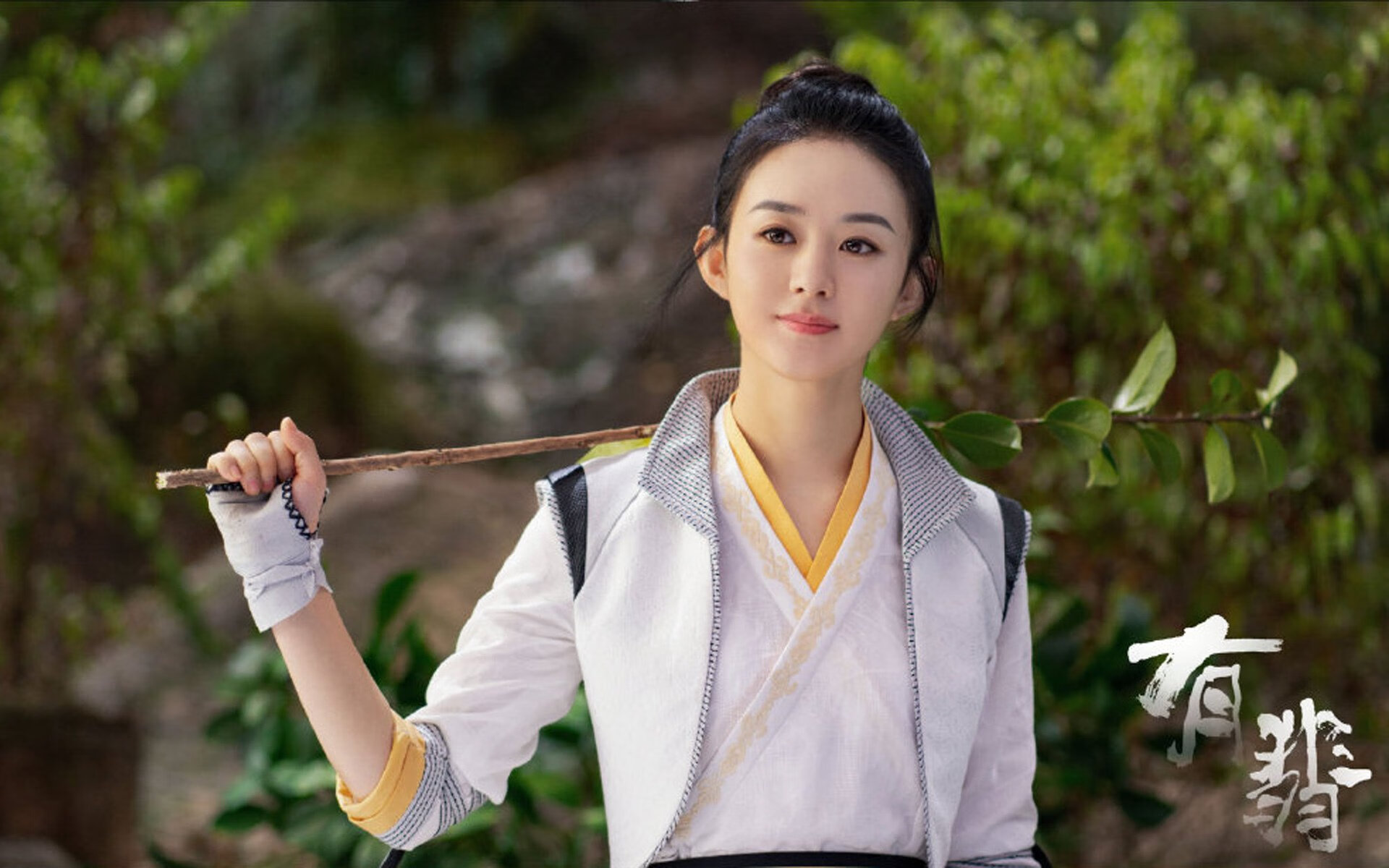 喀尔巴阡之墙,莱万多夫斯基的隐喻,与一场定义唯一的铁血战役