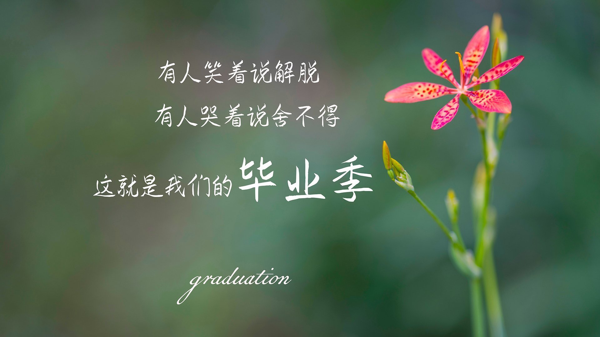2026世界杯揭幕战,三国杀变独幕剧,吉鲁与英格兰联手改写了剧本