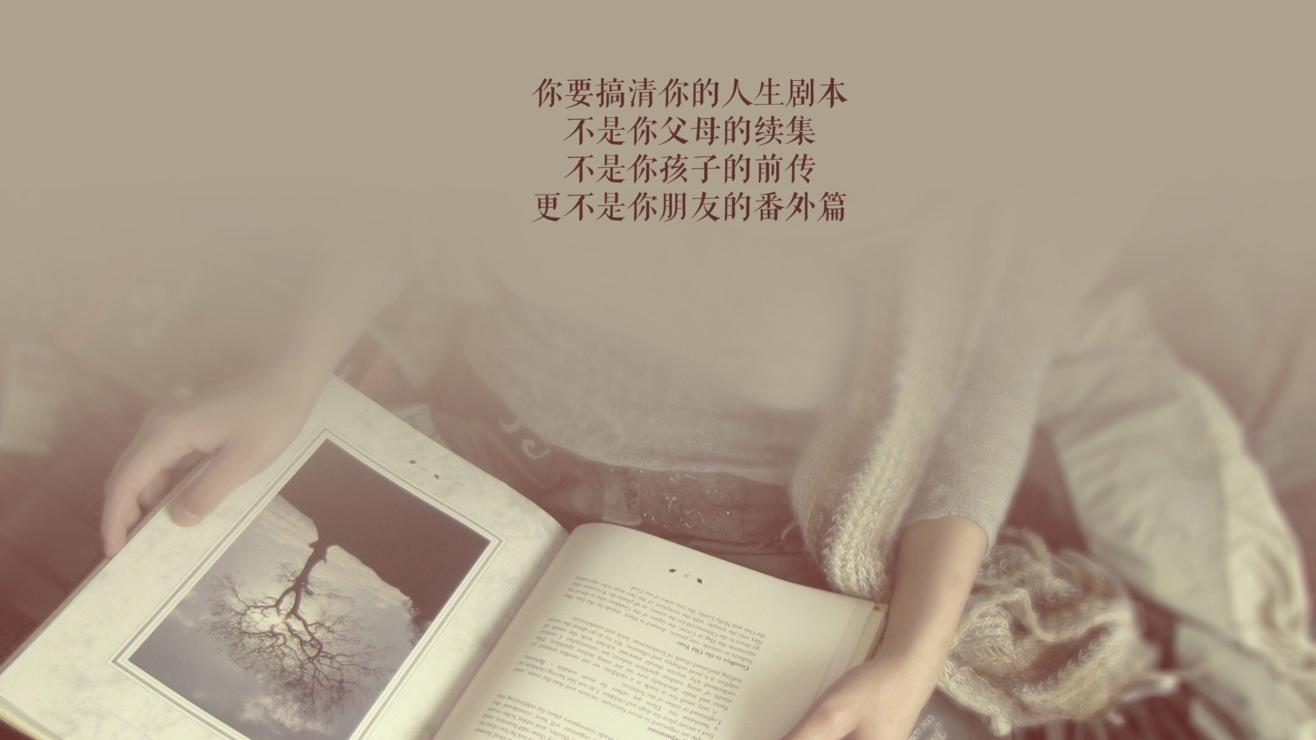 沙漠奇迹,当卡塔尔改写足球编年史,孙兴慜在风暴眼中点燃亚洲之光